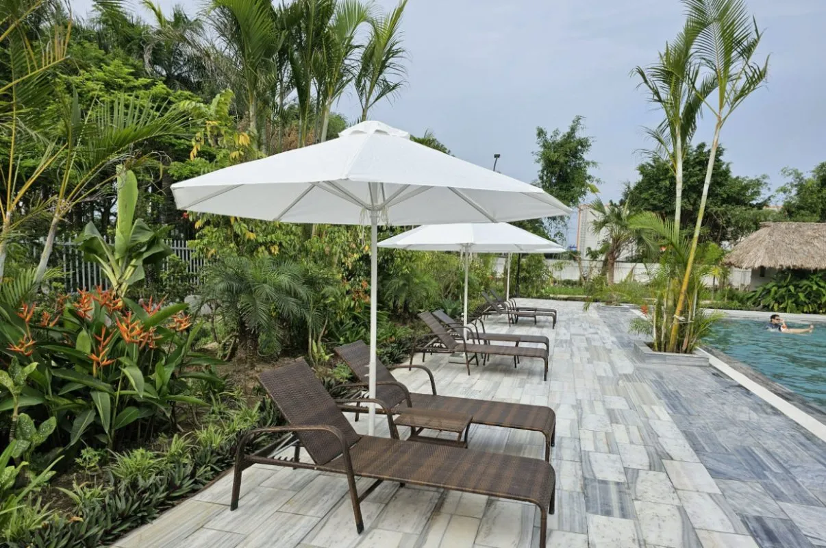 DU CHINH TAM